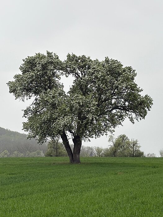 In der Natur gibt es viel zu entdecken <3